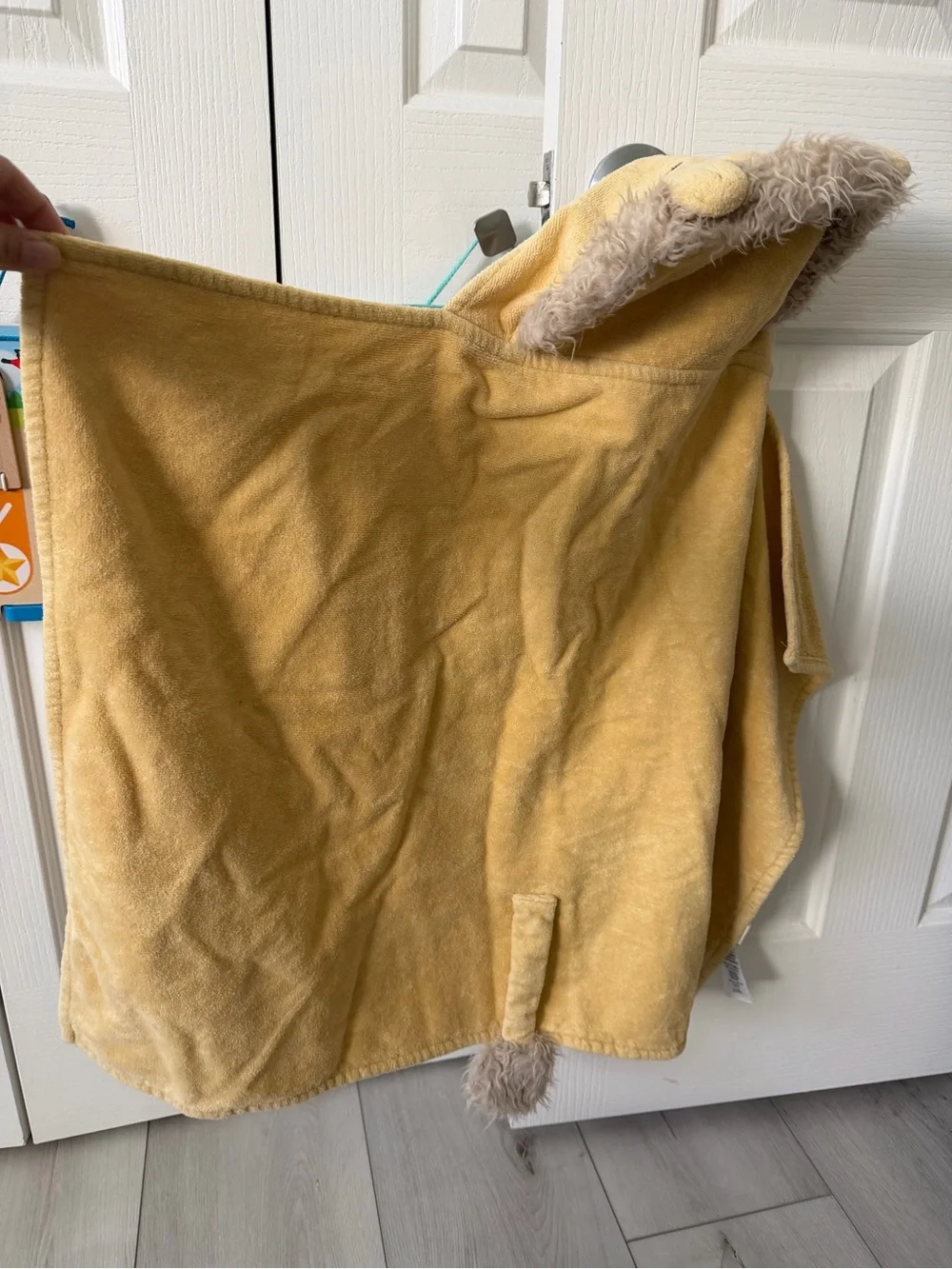 West Elm plush hooded